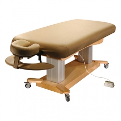 瓦特电动沙龙美容床按摩床高度可调专业沙龙床理疗床